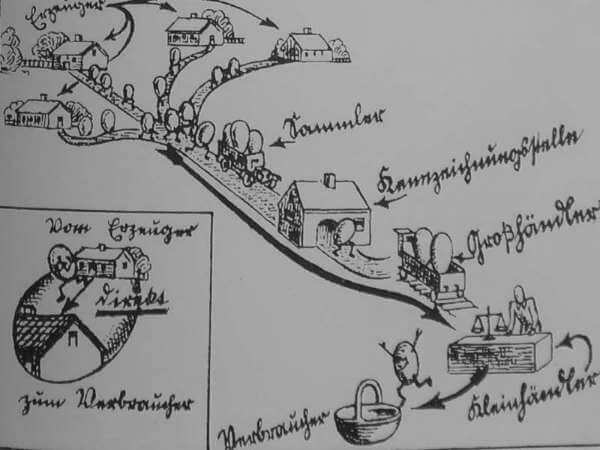 Der Weg des Eies - alte Illustration